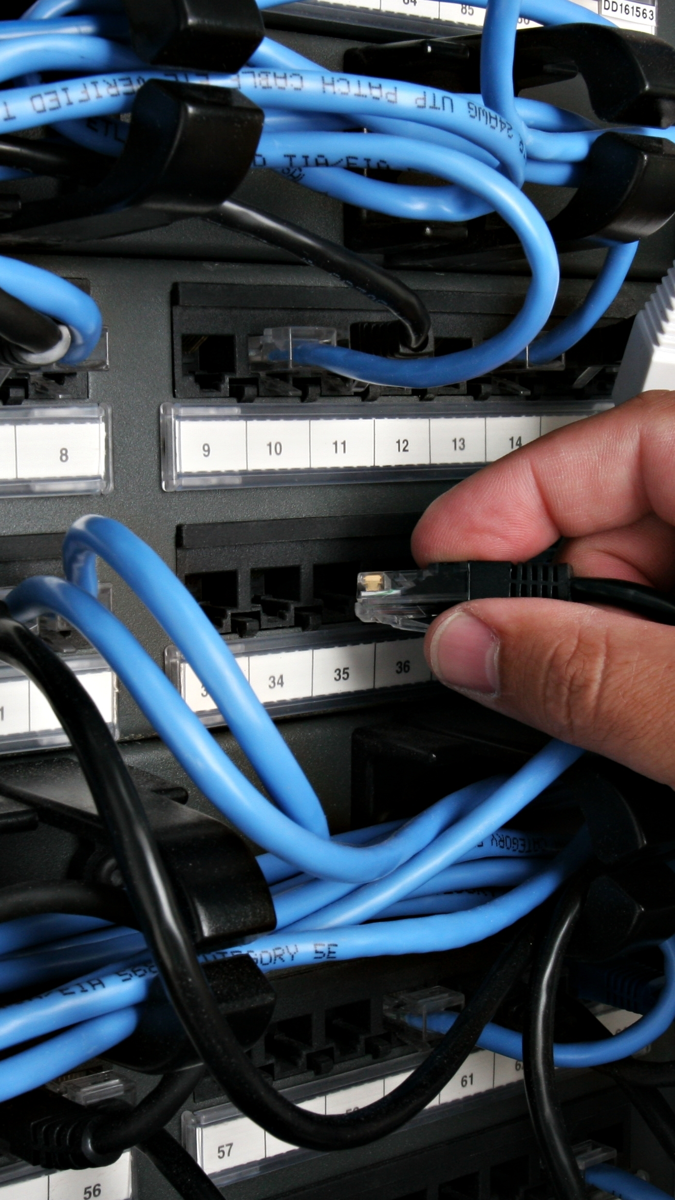 A black cable being plugged into a switch for structured cabling